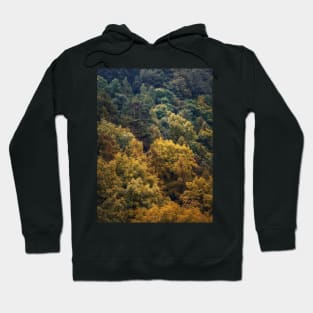 autumn trees texture Hoodie